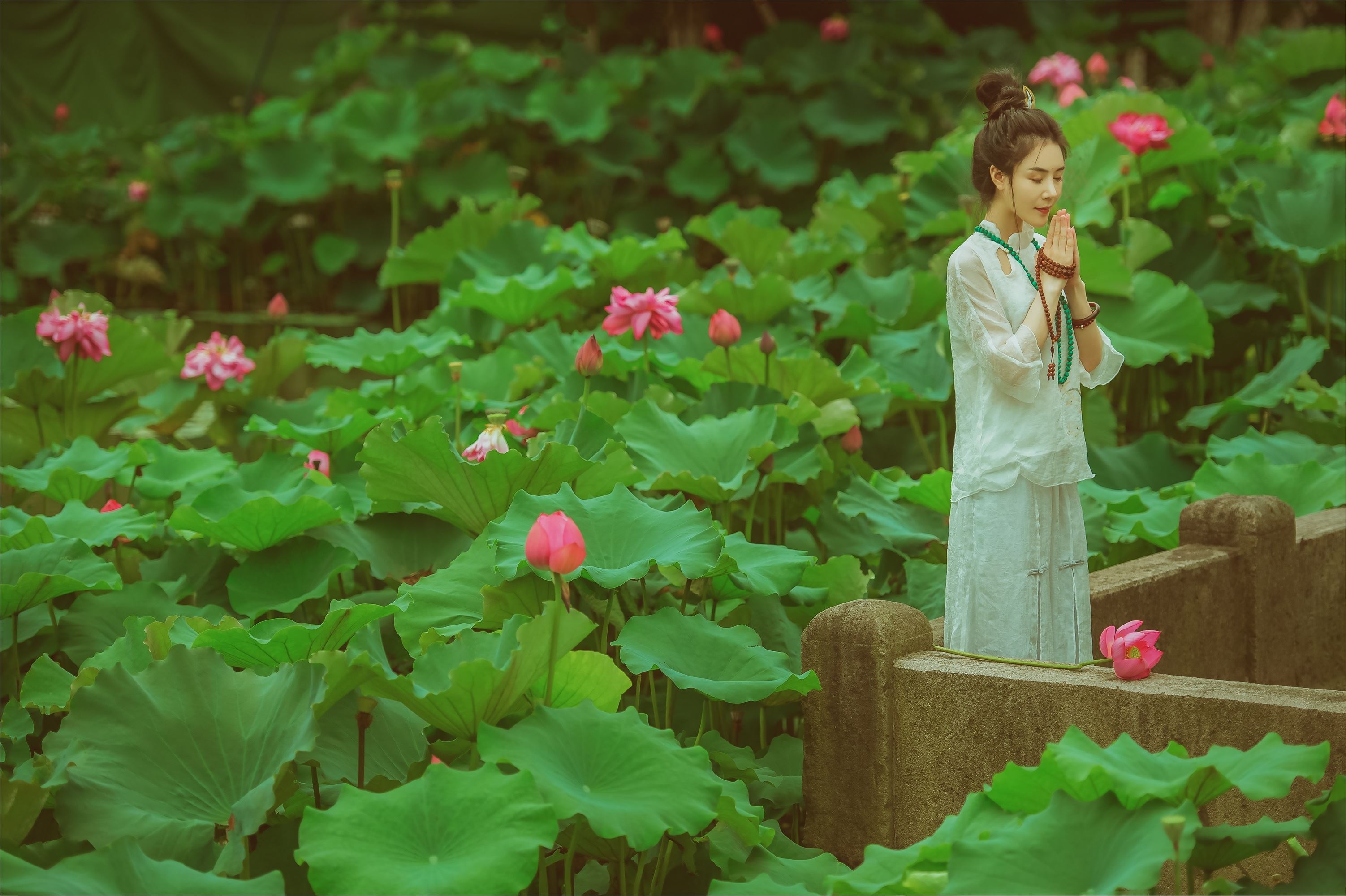 YITUYU艺图语 2021.08.14 赏荷记 颗颗树